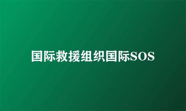 国际救援组织国际SOS