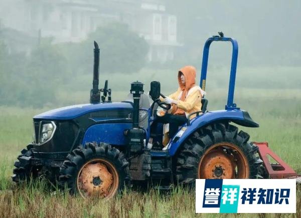 《向往的生活6》定档4月,原班人马齐声欢呼,只张艺兴却遇新挑战