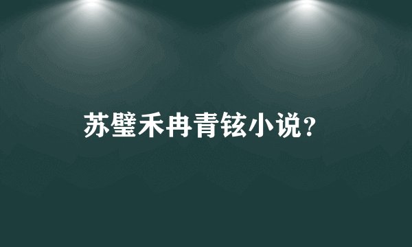 苏璧禾冉青铉小说？