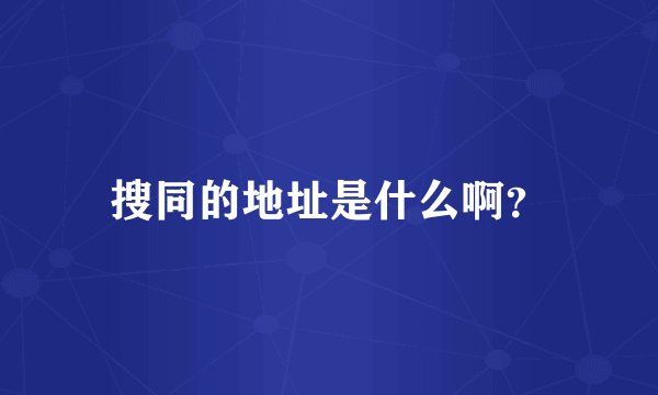 搜同的地址是什么啊?