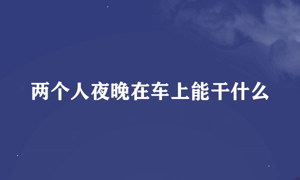 两个人夜晚在车上能干什么