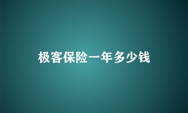 极客保险一年多少钱