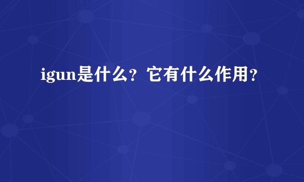 igun是什么？它有什么作用？