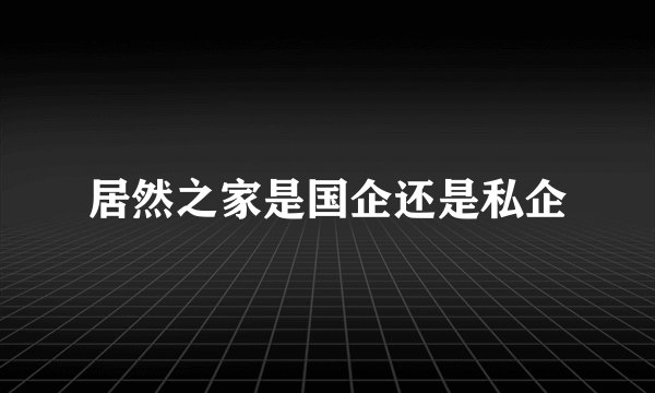 居然之家是国企还是私企