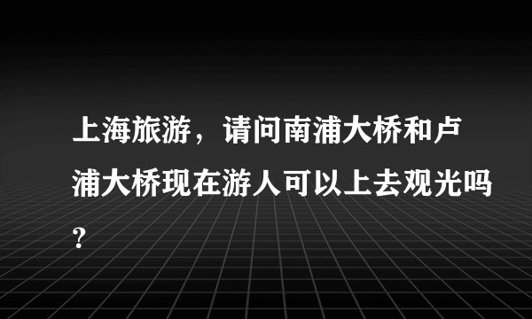 上海旅游，请问南浦大桥和卢浦大桥现在游人可以上去观光吗？