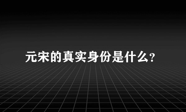 元宋的真实身份是什么？