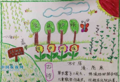 爱绿护绿手抄报上写什么内容