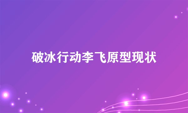 破冰行动李飞原型现状