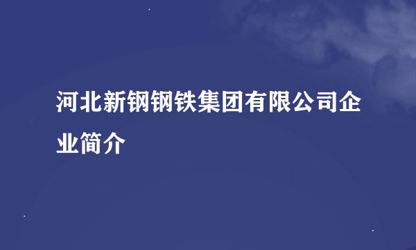 河北新钢钢铁集团有限公司企业简介
