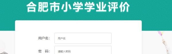 合肥市小学绿色测评分数怎么查