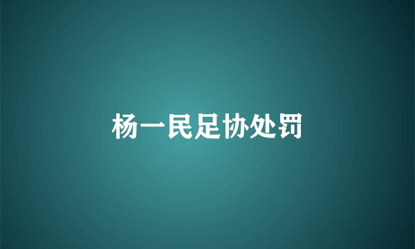 杨一民足协处罚