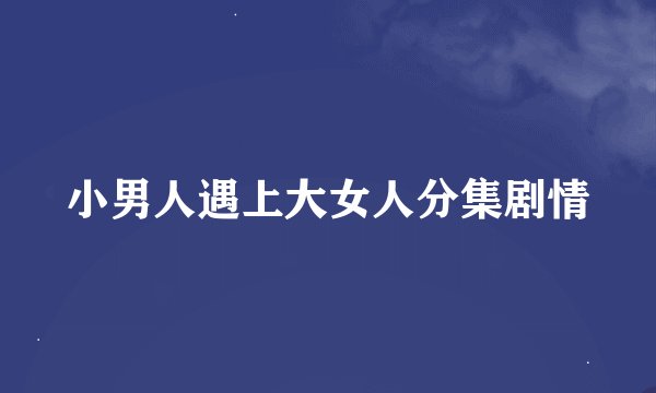 小男人遇上大女人分集剧情