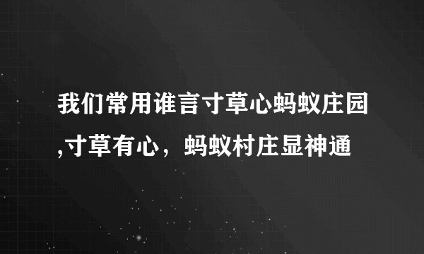 我们常用谁言寸草心蚂蚁庄园,寸草有心，蚂蚁村庄显神通