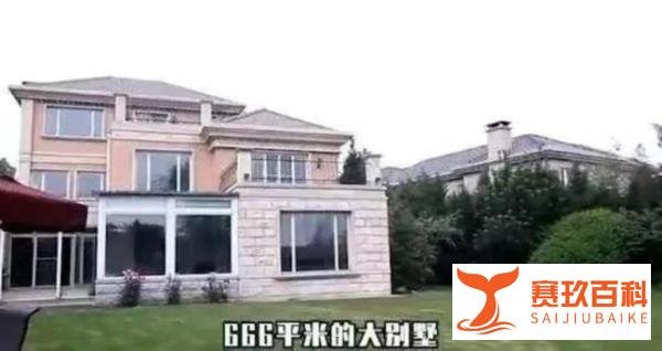 王岳伦与李湘名下26家企业被注销,超1.6亿注册资本飞灰烟灭?
