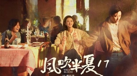 风吹半夏周茜是干什么的