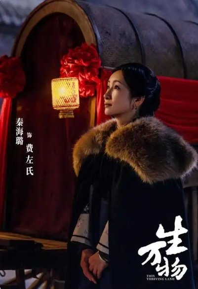 原著宁可金结局