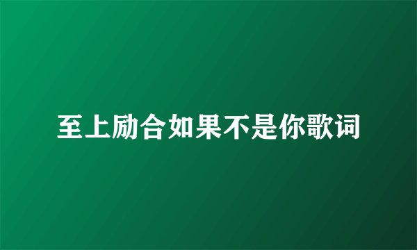 至上励合如果不是你歌词