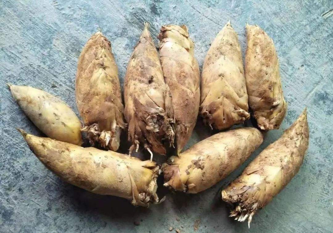 “冬笋每斤40元价格贵过肉”引发了网友的热议，冬笋为何这么贵？