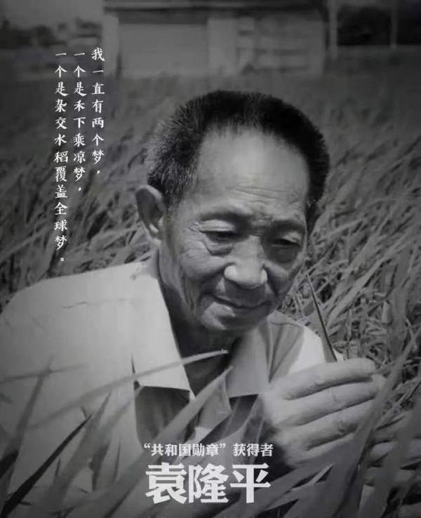 教师缅怀袁爷爷的最好方式，就是教会孩子，珍惜每一粒粮食