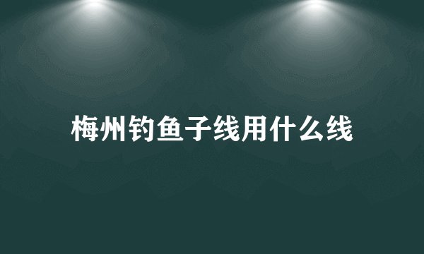 梅州钓鱼子线用什么线