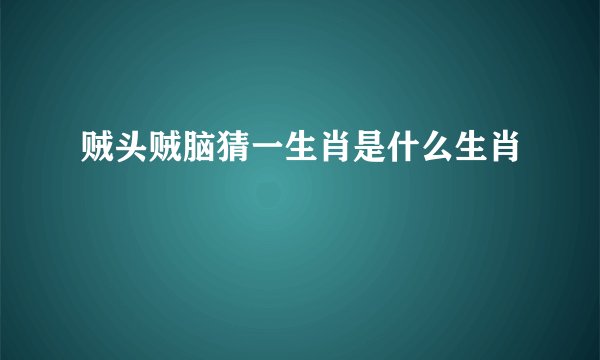 贼头贼脑猜一生肖是什么生肖