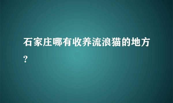 石家庄哪有收养流浪猫的地方?