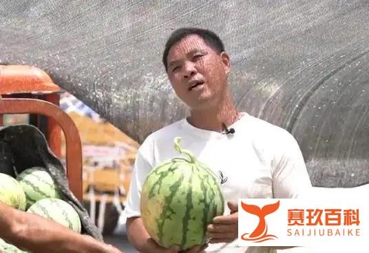 验瓜师月入3万，曝光行业真实内幕，让我顿悟普通人的财富密码