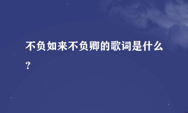 不负如来不负卿的歌词是什么？