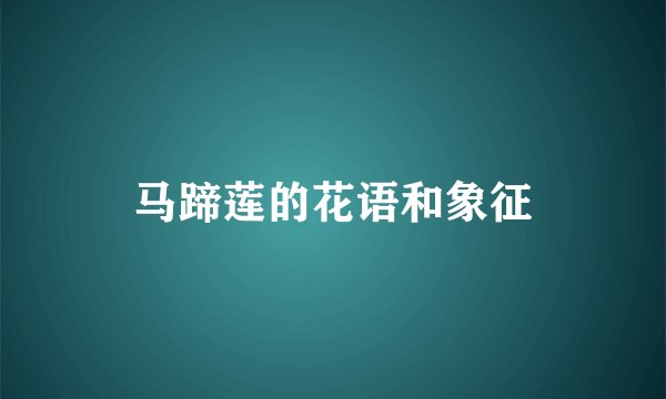 马蹄莲的花语和象征