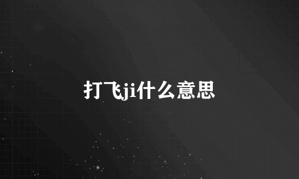 打飞ji什么意思
