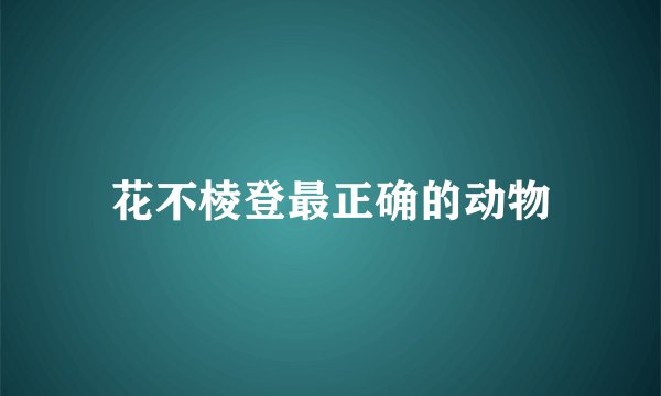 花不棱登最正确的动物