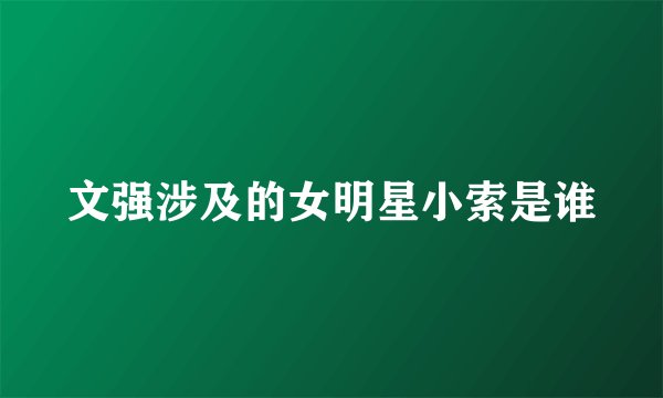 文强涉及的女明星小索是谁