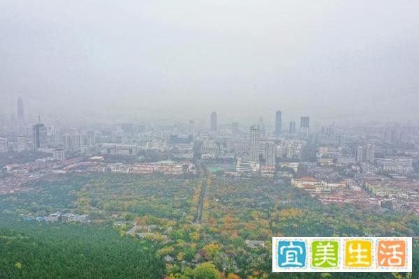 中国两大人口破亿的省份,均是经济大省,超越了93%的国家