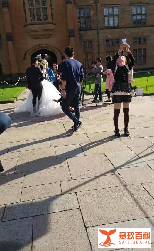 网曝刘强东与奶茶妹悉尼拍婚纱照,这是真要嫁了?(多图)