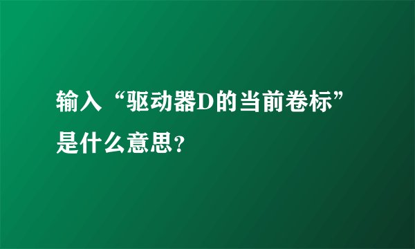 输入“驱动器D的当前卷标”是什么意思？