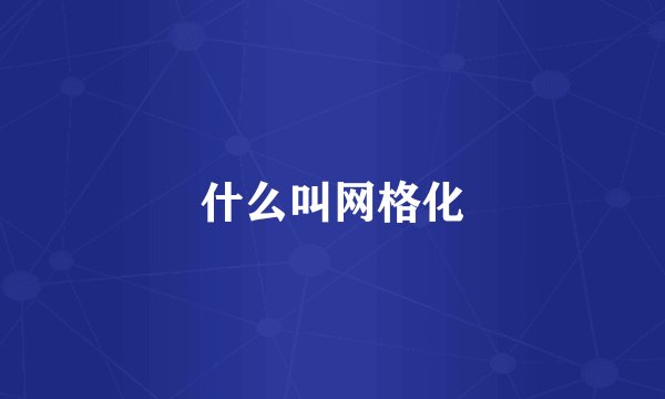 什么叫网格化
