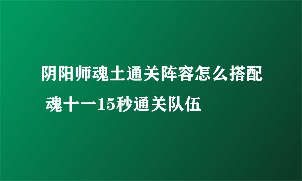 阴阳师魂土通关阵容怎么搭配 魂十一15秒通关队伍