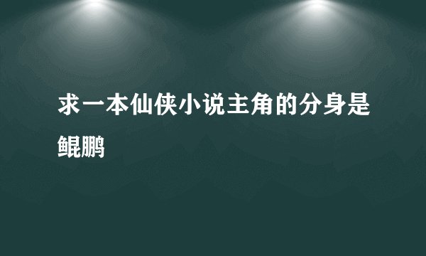 求一本仙侠小说主角的分身是鲲鹏