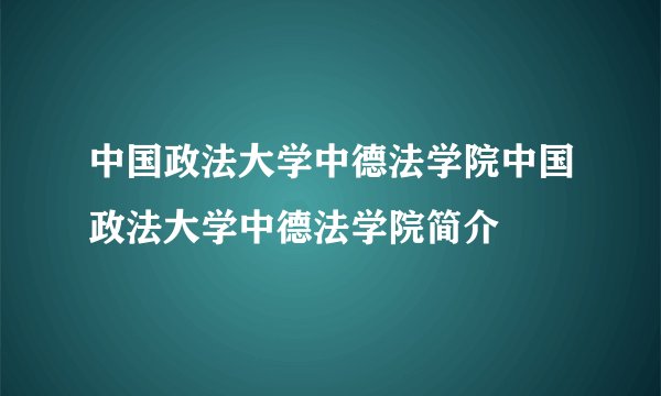 中国政法大学中德法学院中国政法大学中德法学院简介