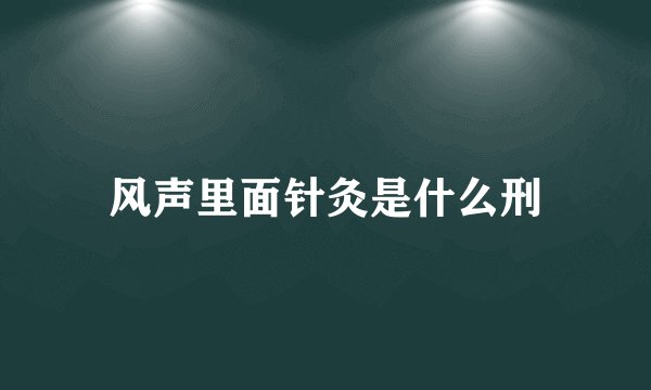 风声里面针灸是什么刑