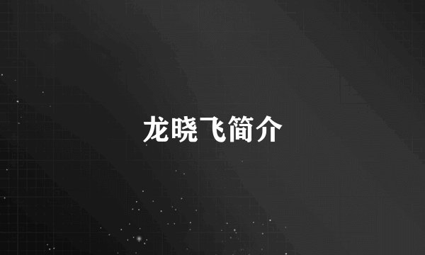 龙晓飞简介