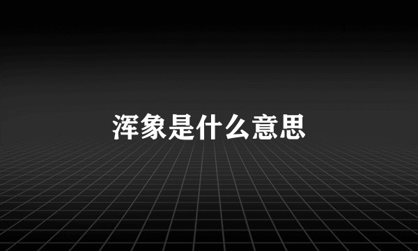 浑象是什么意思
