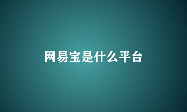 网易宝是什么平台