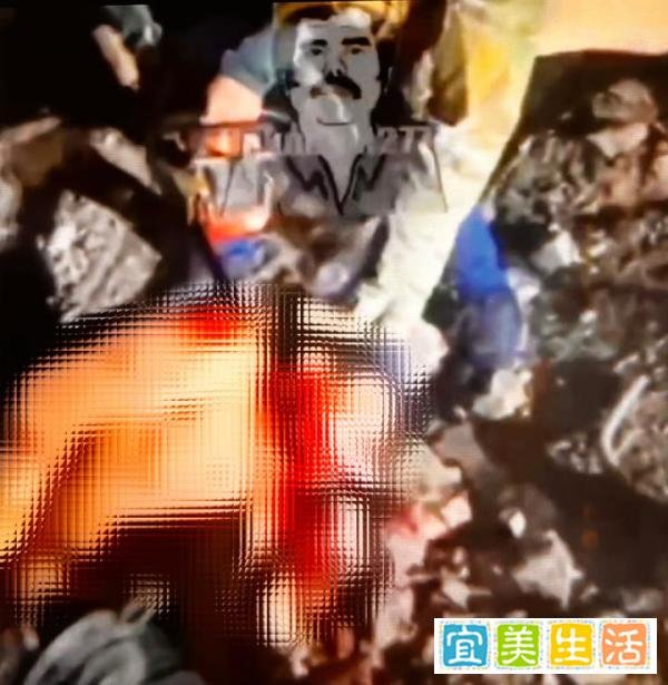 墨西哥往事——斯蒂尔电锯的故事