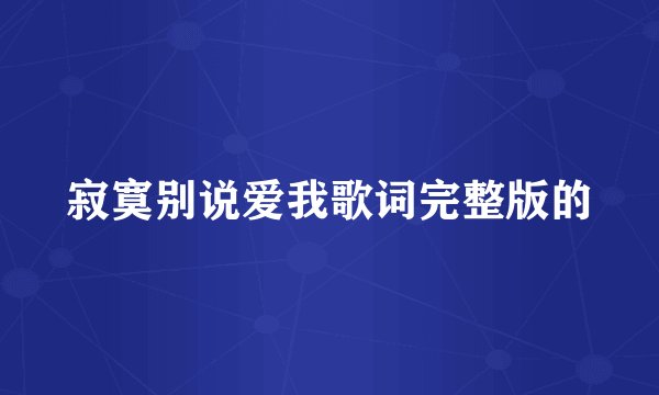 寂寞别说爱我歌词完整版的