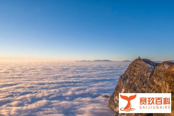 一代期货大佬刘强的传奇故事！从巅峰到谷底，如何快速亏完20亿