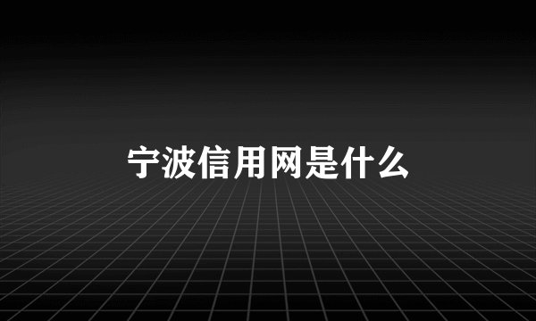 宁波信用网是什么