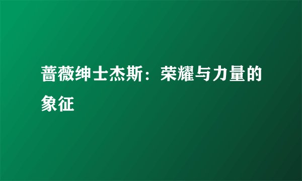 蔷薇绅士杰斯：荣耀与力量的象征