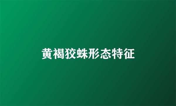 黄褐狡蛛形态特征