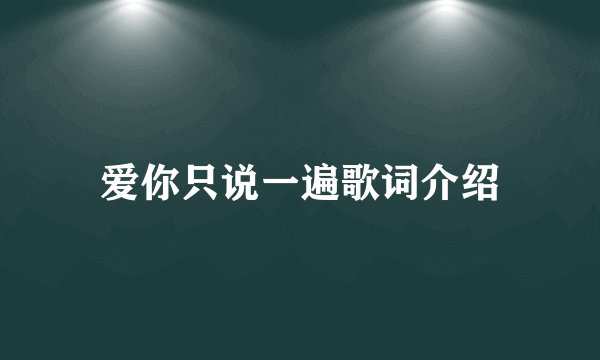 爱你只说一遍歌词介绍